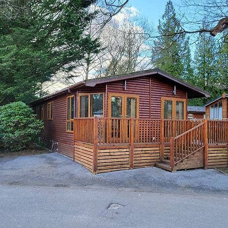 Cheerful 3 Bedroom Lodge At White Cross Bay Windermere Eksteriør bilde