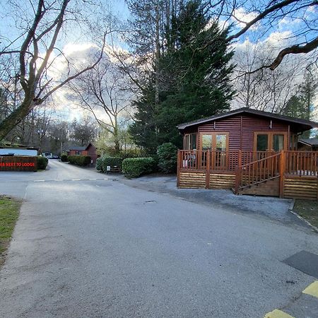 Cheerful 3 Bedroom Lodge At White Cross Bay Windermere Eksteriør bilde